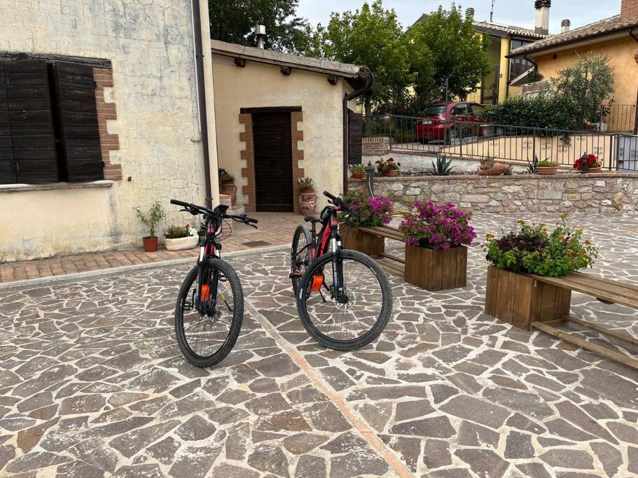 Casa Vacanze Vecchio Frantoio Residenza Leccino สโปเลโต ภายนอก รูปภาพ